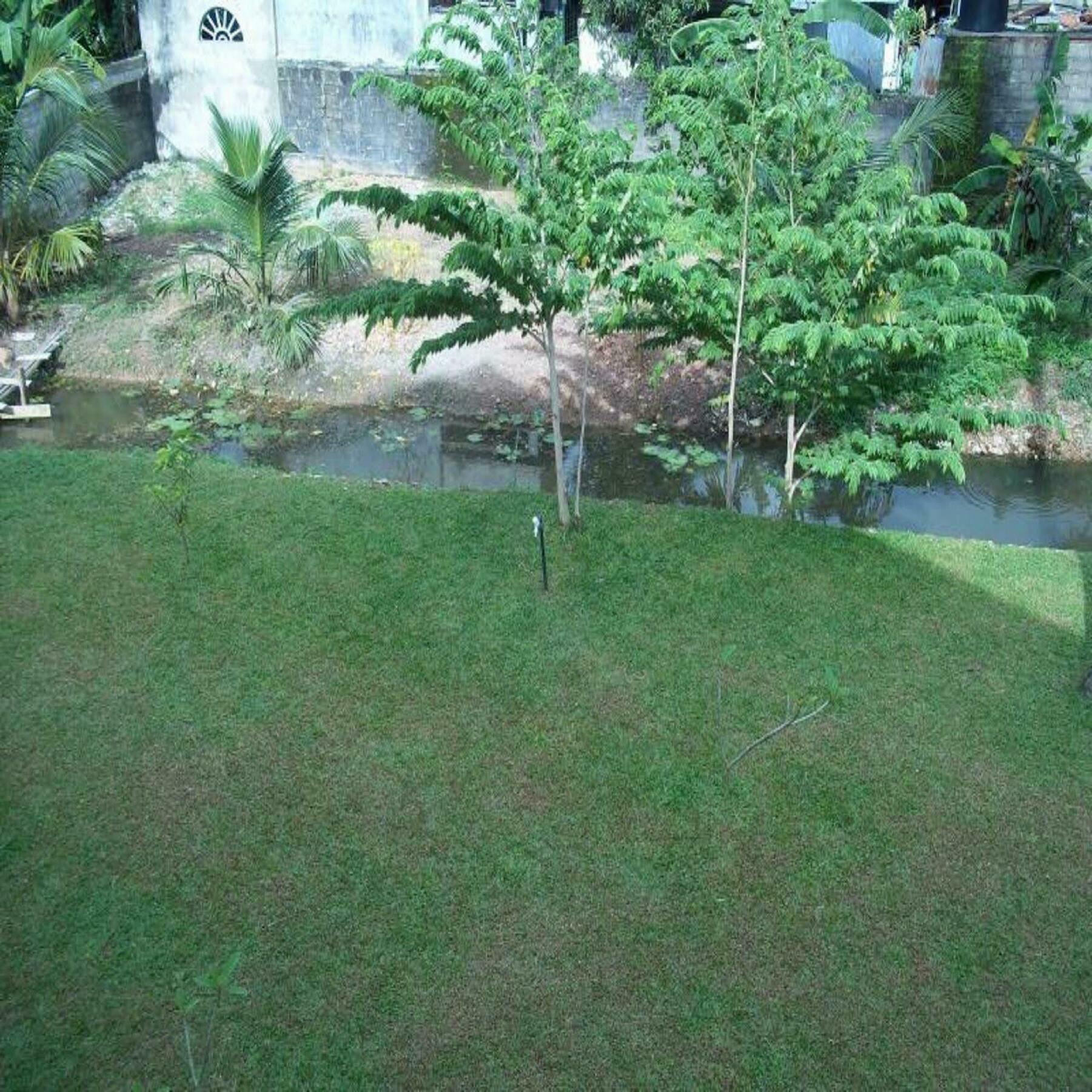 ซันไรส์ พาเลซ เนกอมโบ Bed & Breakfast ภายนอก รูปภาพ